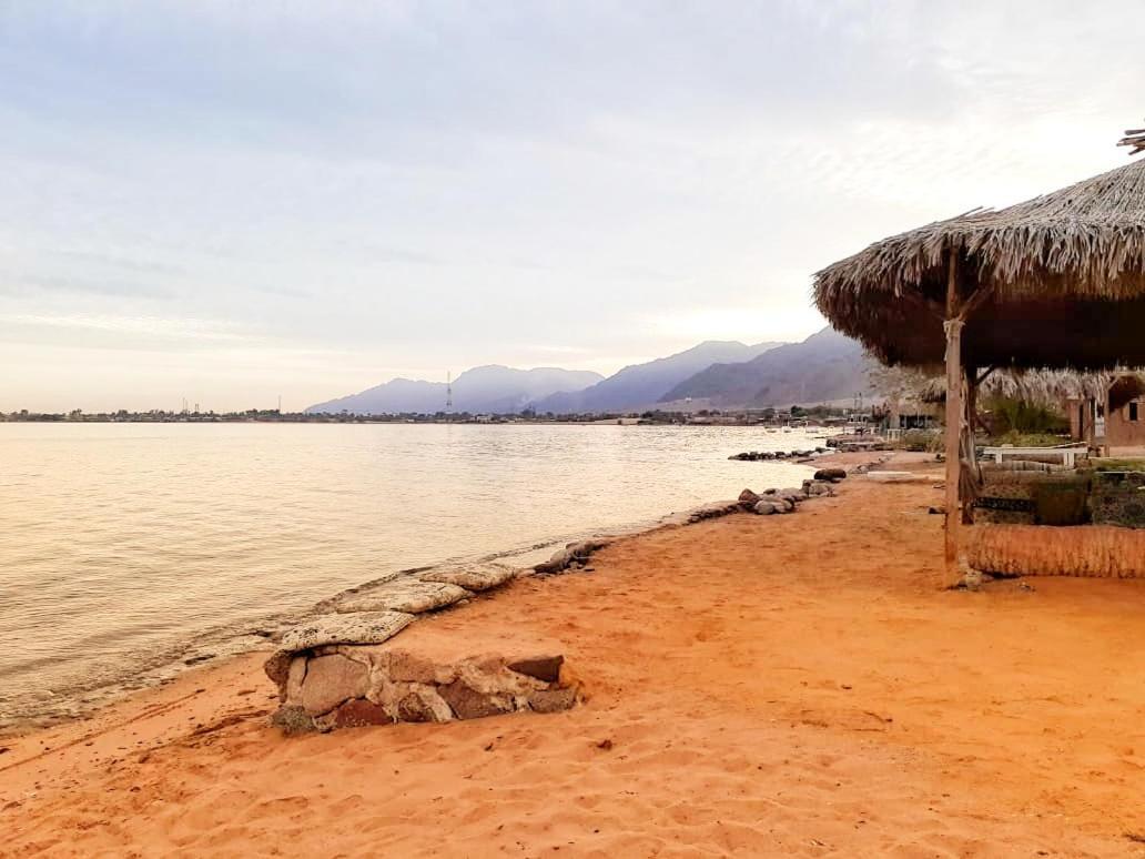 Sababa Beach Camp Bed and Breakfast Nuweiba` Esterno foto
